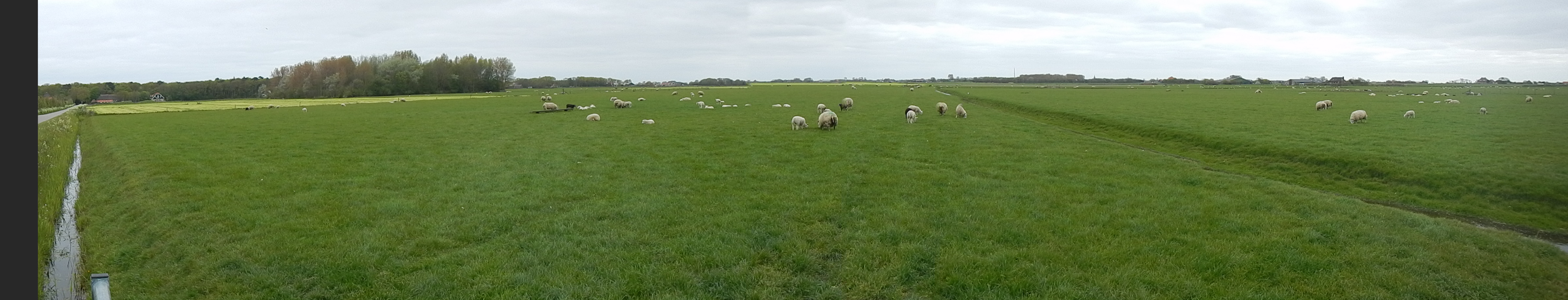 HWK Texel 2015 032.jpg